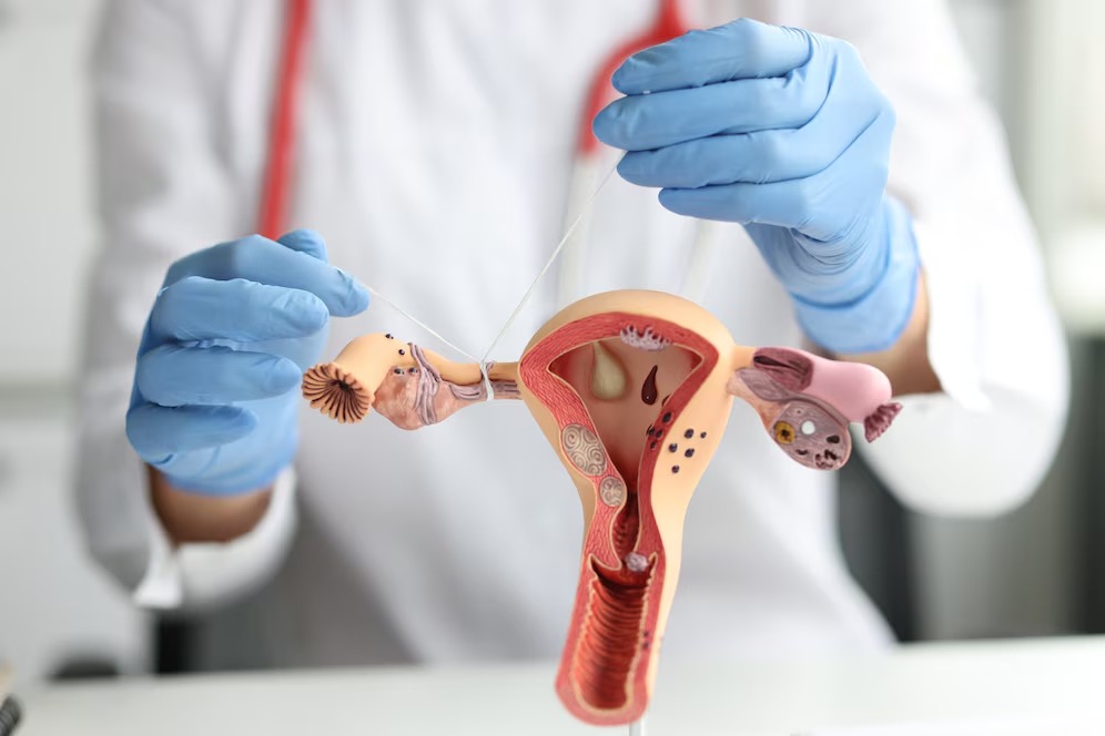 IUI Treatment in Indore, infertility clinic in indore, fertility center indore, fertility clinic in indore, best infertility clinic in indore