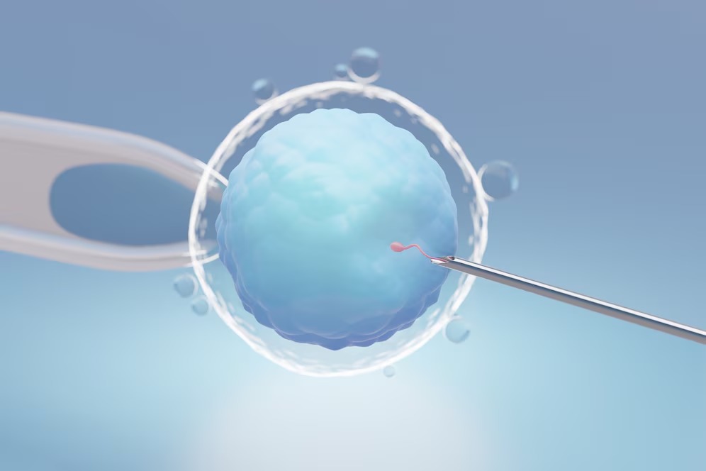 IVF Treatment in Indore, ivf hospital in indore, ivf treatment in indore, ivf center in indore, infertility clinic in indore, fertility center indore, fertility clinic in indore, best infertility clinic in indore