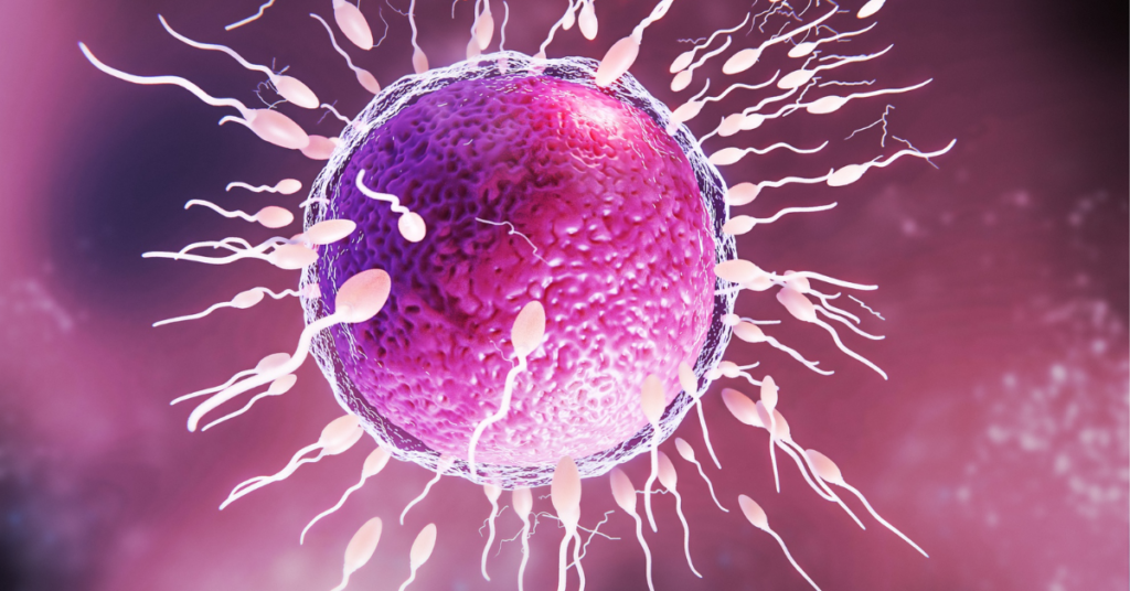 ivf doctor in indore