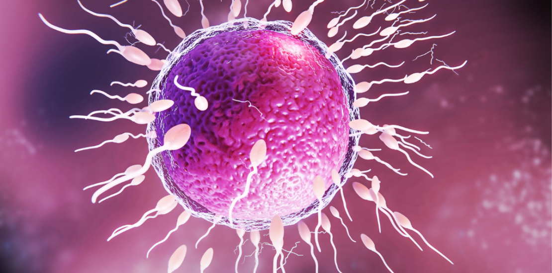 ivf doctor in indore